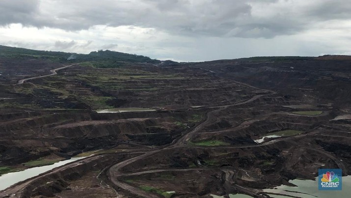 2 Tambang Batu Bara RI Masuk 10 Besar Dunia