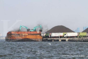 Penyerapan Batubara dalam negeri meningkat------ Bongkar muat batubara di pelabuhan Marunda, Jakarta, Kamis (5/11). Kementrian Energi dan Sumner Daya Mineral menyatakan konsumsi batubara dalam negeriper Januari-September 2015 menungkat 9,83% dibandingkan periode yang sama tahun lalu lantaran beroperasinya sejumlah pembangkit listrik tenaga uap. KONTAN/Cheppy A. Muhlis/05/11/2015