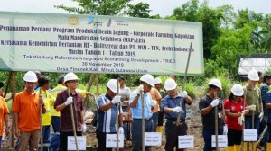 PT Meares Soputan Mining Tanam Bibit Jagung di Lahan Tambang