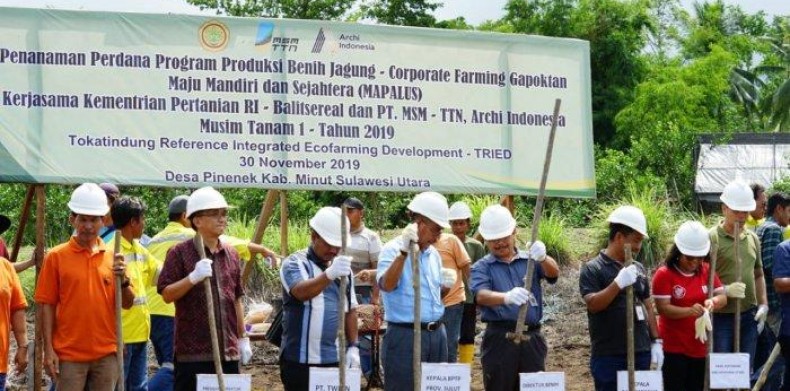 PT Meares Soputan Mining Tanam Bibit Jagung di Lahan Tambang